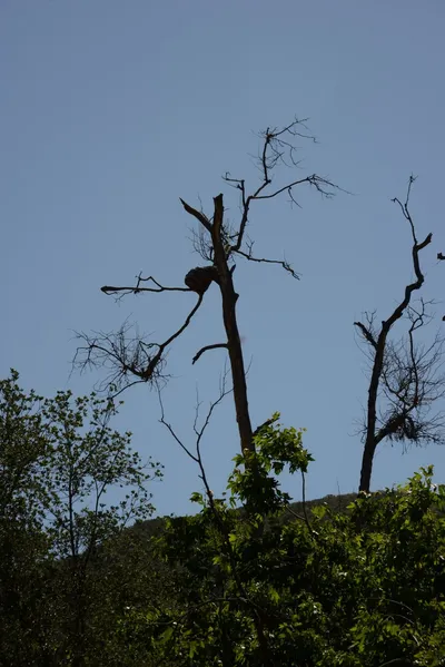April 2015 - Placerita Canyon